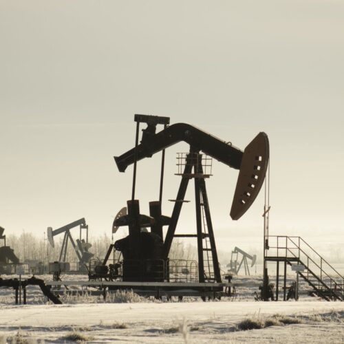 A field with oil pump jacks surrounded by greenery under sunlight